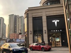 -TESLA 特斯拉(上海太古汇体验店)