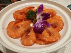 -若爱猪肚鸡·啫啫煲(循礼门M+店)