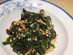 小蘑菇调菠菜-西北45°(世茂广场店)
