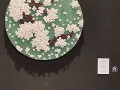 -德基艺术博物馆