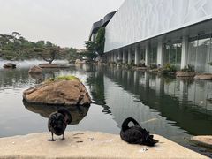 -罗红摄影艺术馆