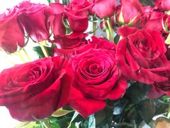 -ROSEONLY诺誓(国际广场购物中心店)