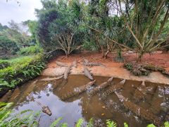 -海南热带野生动植物园