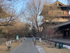 -善化寺