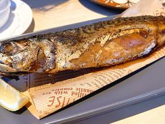 -LENBACH兰巴赫西餐啤酒坊(大连东港店)