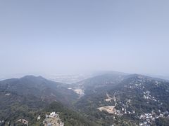 -大金鹰园