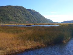 景点-腾冲北海湿地