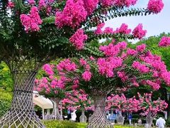 -杭州城北体育公园