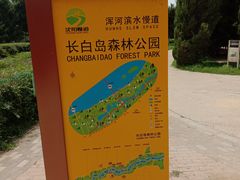 -长白岛森林公园