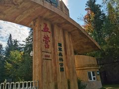 -五营红松林海景区