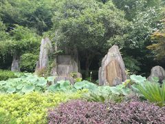 -菊花台公园