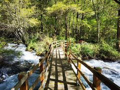 -叠溪松坪沟景区