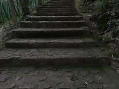 -上海佘山国家森林公园西佘山园