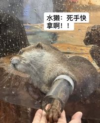 -Zoolung Zoolung动物主题公园(海信广场店)