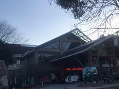 -三江森林温泉度假区