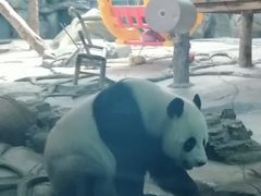 -武汉动物园