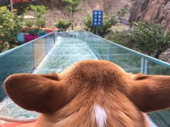 -十渡东湖港风景区