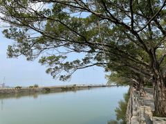 -大湾区中央湿地公园