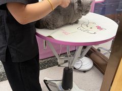 -FAELING PETS美天灵宠物(富力广场店)