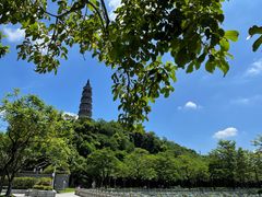 -顺峰山公园