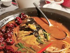 -秀儿四九城·新京菜(亚运村鸟巢店)