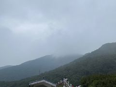 -梧桐山风景名胜区