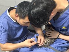 -半岛宠物医院24小时(科华中路店)