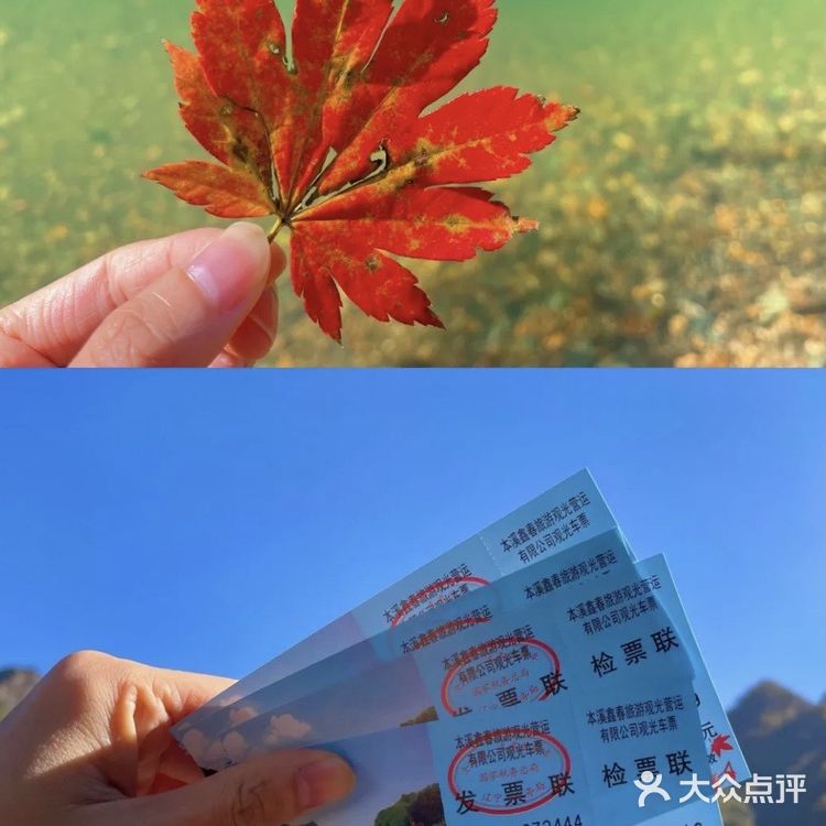 本溪枫叶红了🍁秋季关门山只为这一抹红