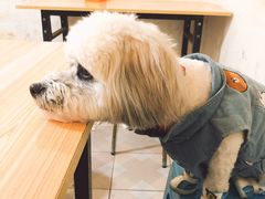 -建国烧烤(建乐路店)