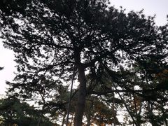 -颐和园