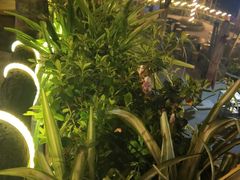 -楠柏弯休闲山庄(梨花溪店)