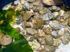 -东戴河风景区-止锚湾