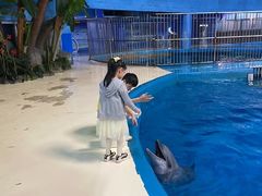 -泉城欧乐堡海洋极地世界