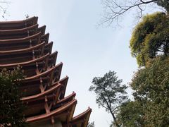 -缙云山景区