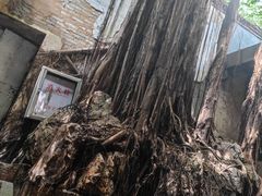 -文儒九号·闽菜馆(三坊七巷店)