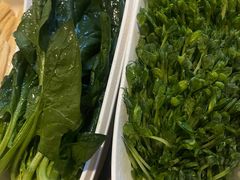 活体豆苗-海底捞火锅(漕宝路店)