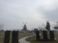 -南通鲜花小镇