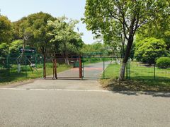 -贡湖湾湿地公园