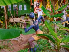 -呀路古热带植物园