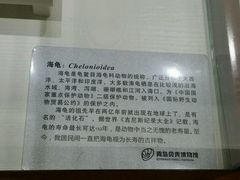 -青岛贝壳博物馆