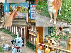 -上海佘山茂御臻品之选酒店(原佘山艾美酒店)