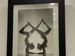 -Isofit 普拉提·婵柔工作室