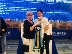 -青奢宠物·青奢猫舍