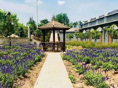 -长安上水缘度假庄园