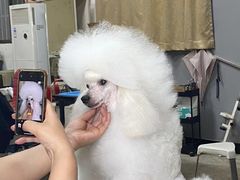 -芭比堂动物医院·犬猫全科·异宠专科(雁塔分院)