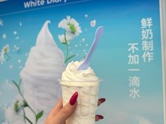 -白色日记·手作酸奶(麦凯乐店)