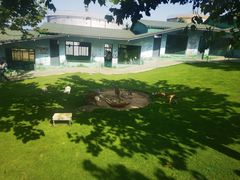 -西霞口神雕山野生动物世界