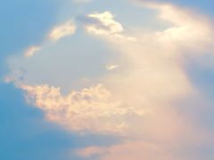 -盐城丹顶鹤湿地生态旅游区