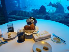 -亚特兰蒂斯•OSSIANO奥西亚诺海底餐厅