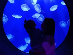 -成都浩海立方海洋公园